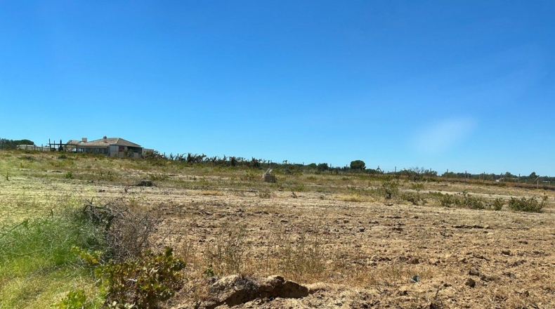 Huelva - Almonte - 40000m2