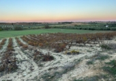Non-developable land for sale in Bollullos Par del Condado ref: TR98067 photo