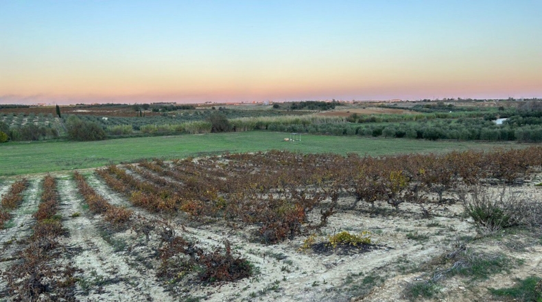 Huelva - Bollullos Par del Condado - 24000m2