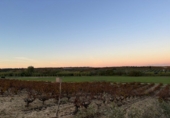 Non-developable land for sale in Bollullos Par del Condado ref: TR98067 photo