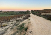 Non-developable land for sale in Bollullos Par del Condado ref: TR98067 photo