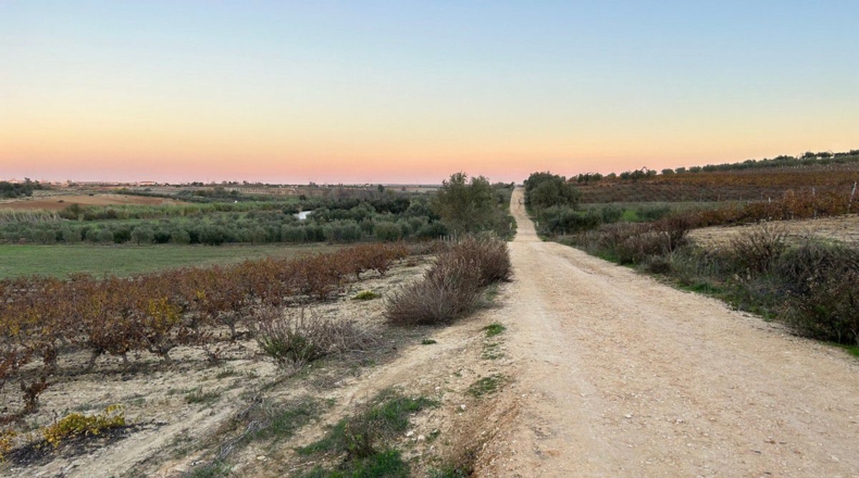 Huelva - Bollullos Par del Condado - 24000m2