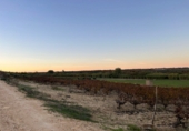 Non-developable land for sale in Bollullos Par del Condado ref: TR98067 photo