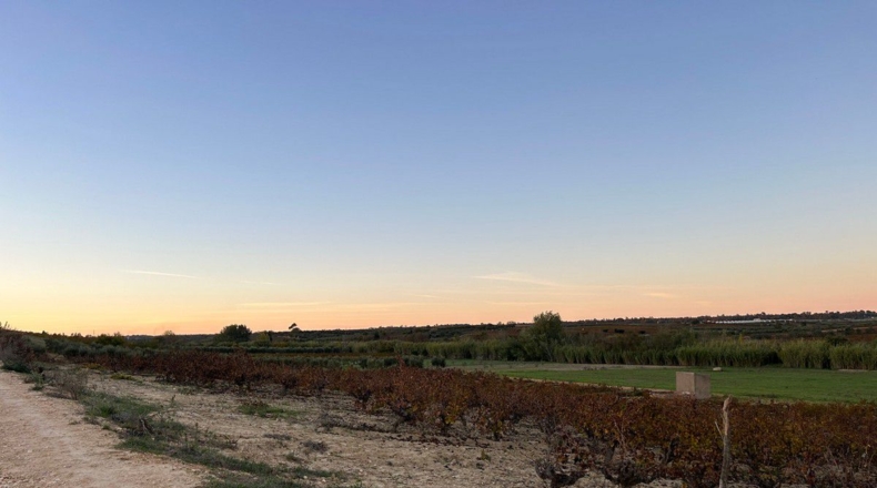 Huelva - Bollullos Par del Condado - 24000m2