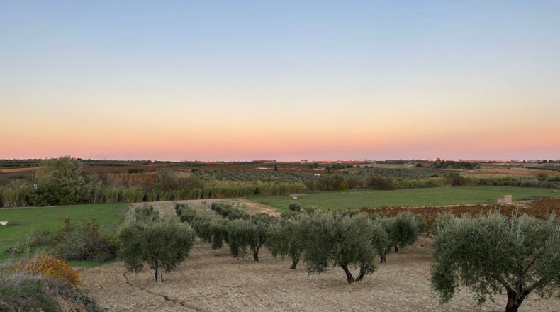 Huelva - Bollullos Par del Condado - 24000m2