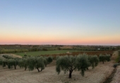 Non-developable land for sale in Bollullos Par del Condado ref: TR98067 photo