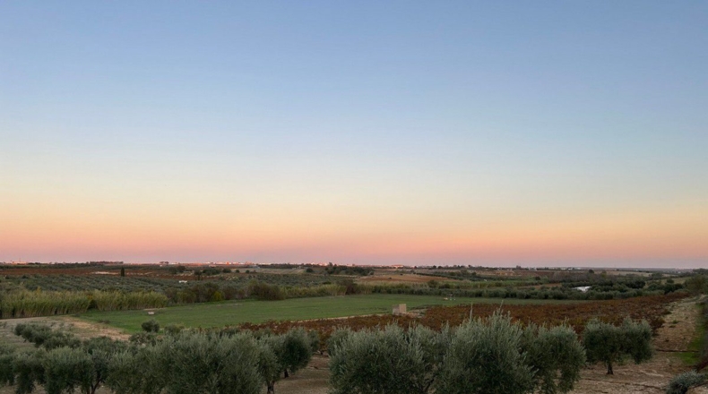 Huelva - Bollullos Par del Condado - 24000m2