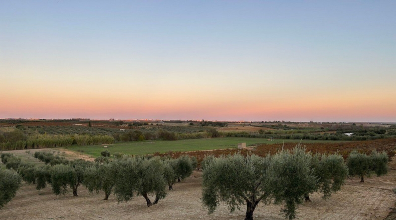 Huelva - Bollullos Par del Condado - 24000m2