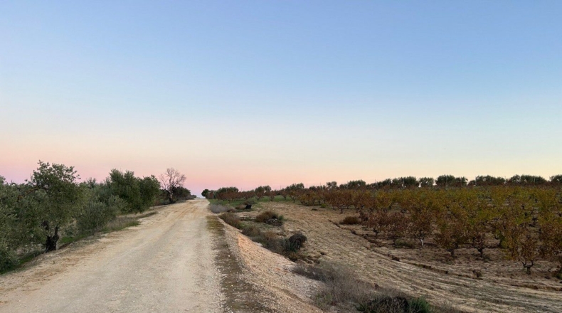 Huelva - Bollullos Par del Condado - 12000m2