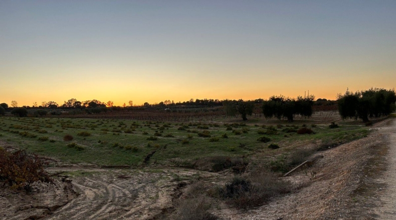 Huelva - Bollullos Par del Condado - 12000m2