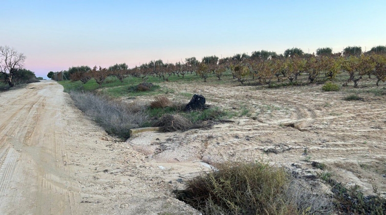 Huelva - Bollullos Par del Condado - 12000m2