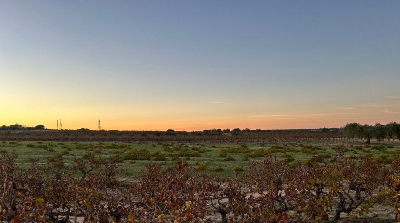 Huelva - Bollullos Par del Condado - 12000m2