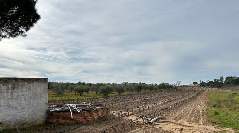 Huelva - Bollullos Par del Condado - 42000m2