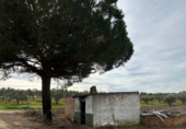 Terreny no urbanitzable en venda a Bollullos Par del Condado ref.: TR102730 foto