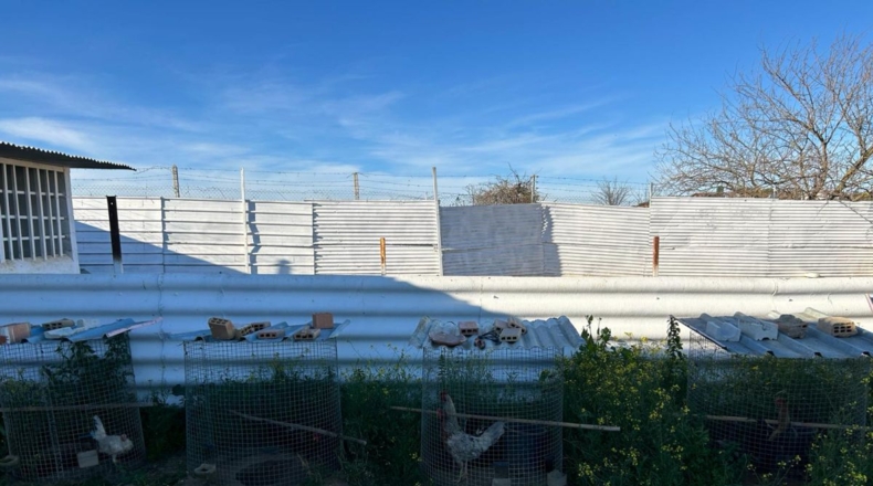 Huelva - Villalba del Alcor - 5660m2