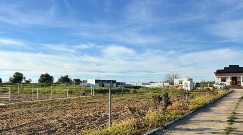 Huelva - Villalba del Alcor - 5660m2