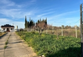 Finca rústica en venda a Villalba del Alcor ref.: TR199736 foto