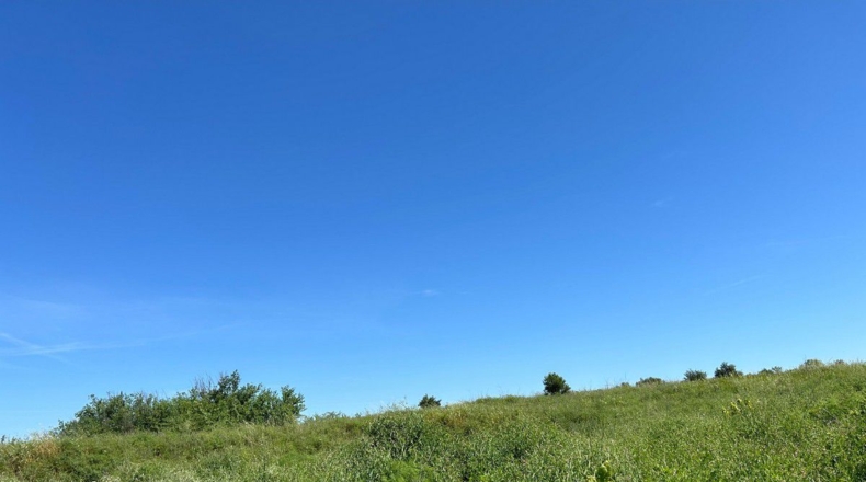 Huelva - Bollullos Par del Condado - 2238m2