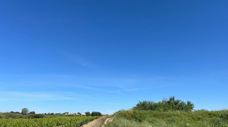 Huelva - Bollullos Par del Condado - 2238m2