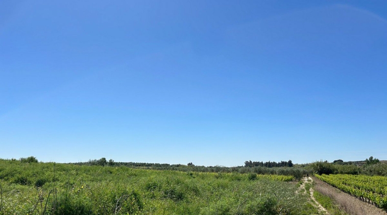 Huelva - Bollullos Par del Condado - 2238m2