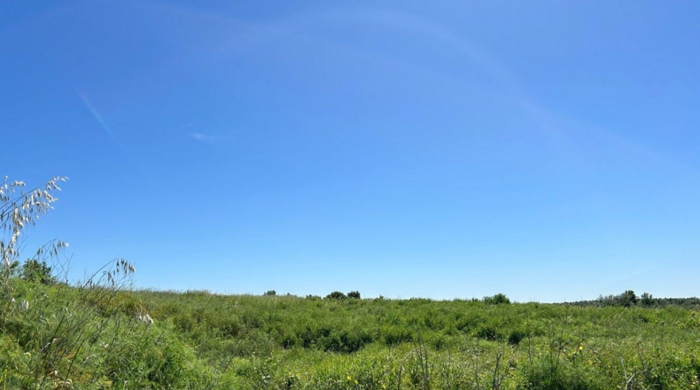 Huelva - Bollullos Par del Condado - 2238m2
