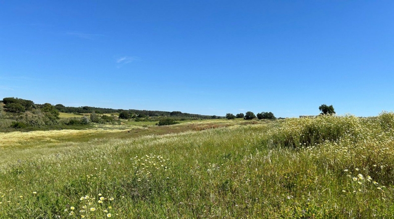 Huelva - Bollullos Par del Condado - 38000m2