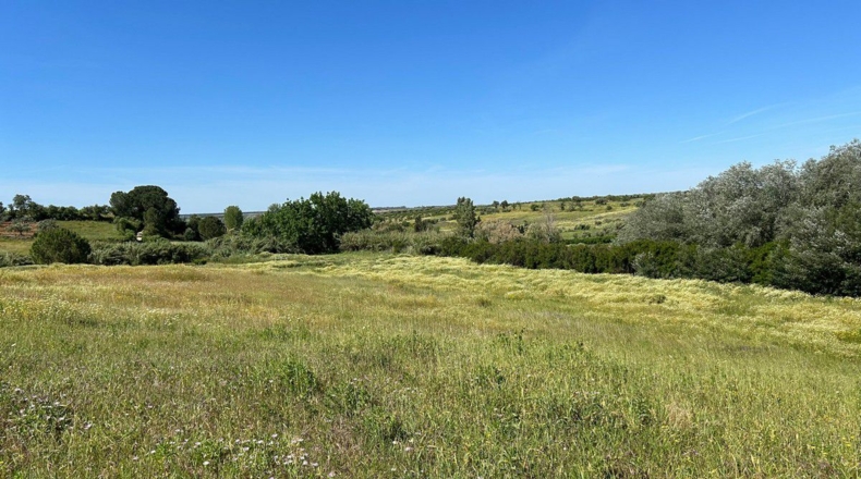 Huelva - Bollullos Par del Condado - 38000m2