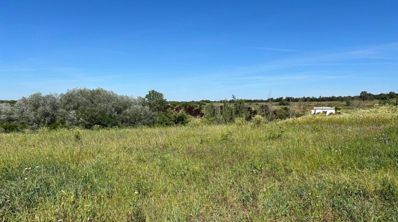 Huelva - Bollullos Par del Condado - 38000m2