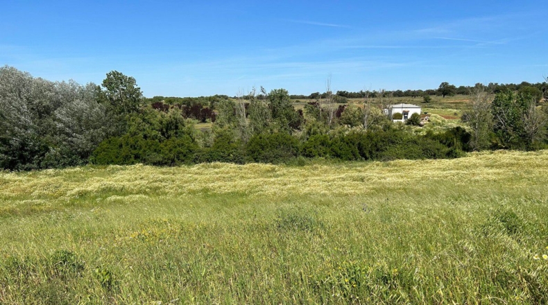 Huelva - Bollullos Par del Condado - 38000m2