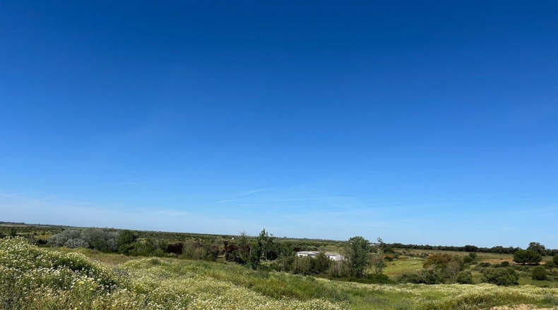 Huelva - Bollullos Par del Condado - 38000m2