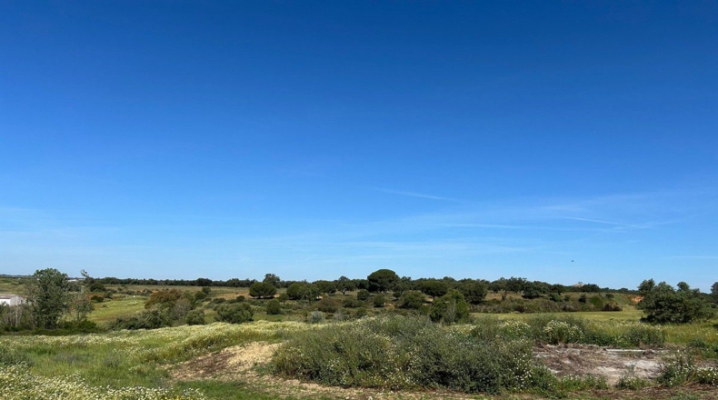 Huelva - Bollullos Par del Condado - 38000m2