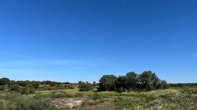 Huelva - Bollullos Par del Condado - 38000m2