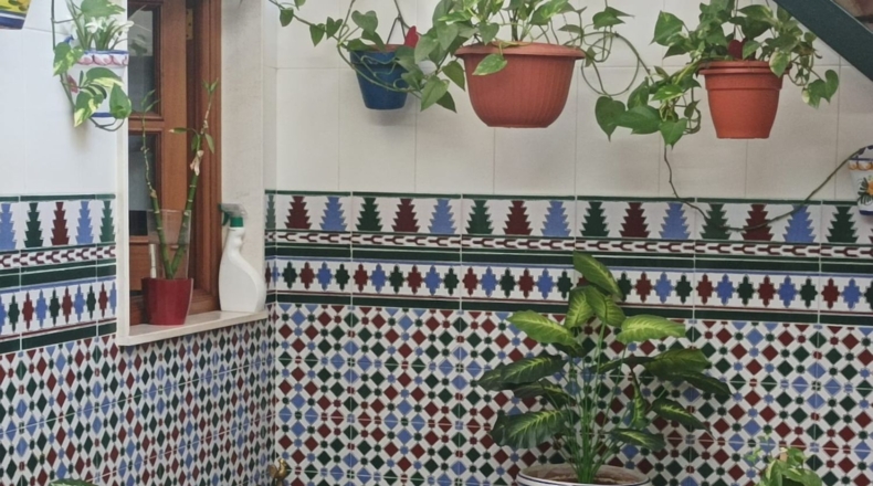 Huelva - Bollullos Par del Condado - 200m2