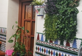 Foto 14