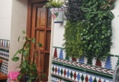 Casa de poble en venda a Bollullos Par del Condado ref.: TR274579 foto
