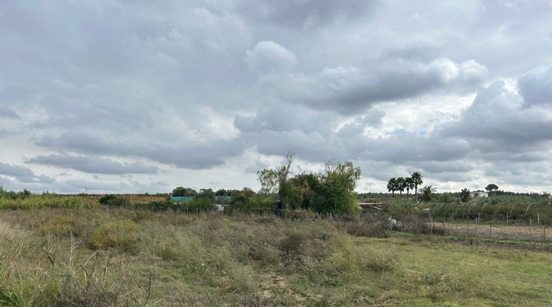 Huelva - Bollullos Par del Condado - 4000m2