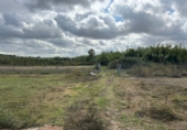 Terreny no urbanitzable en venda a Bollullos Par del Condado ref.: TR181222 foto