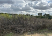 Terreny no urbanitzable en venda a Bollullos Par del Condado ref.: TR181222 foto