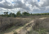 Terreny no urbanitzable en venda a Bollullos Par del Condado ref.: TR181222 foto