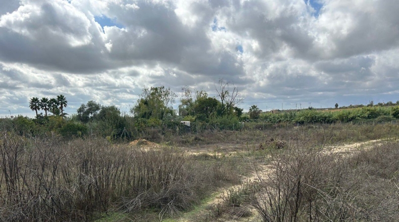 Huelva - Bollullos Par del Condado - 4000m2