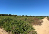 Terreno no urbanizable en venta en Bollullos Par del Condado ref: TR181221 foto