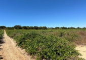 Terreno no urbanizable en venta en Bollullos Par del Condado ref: TR181221 foto