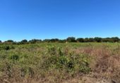 Terreno no urbanizable en venta en Bollullos Par del Condado ref: TR181221 foto