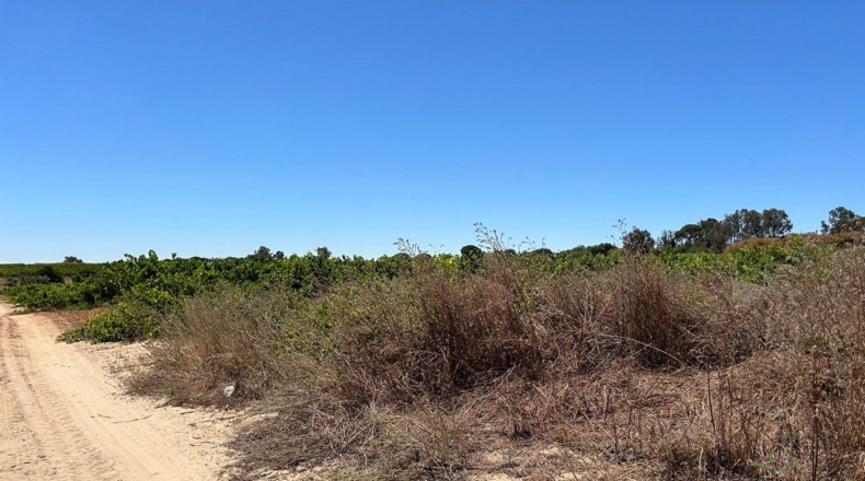 Huelva - Bollullos Par del Condado - 3700m2