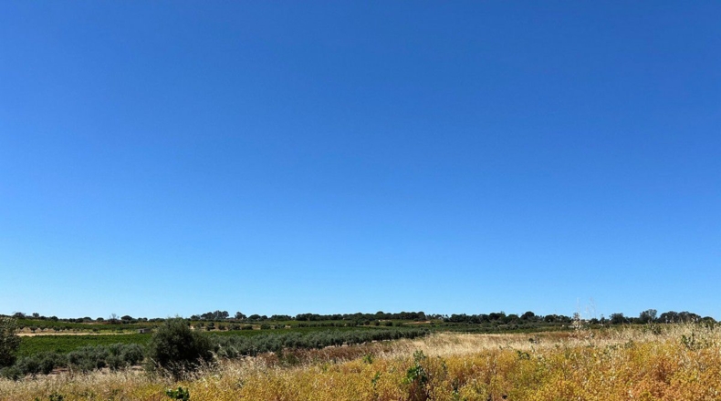 Huelva - Bollullos Par del Condado - 5800m2