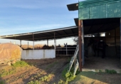Rural estate for sale in Bollullos Par del Condado ref: TR209582 photo