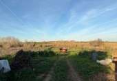 Rural estate for sale in Bollullos Par del Condado ref: TR209582 photo