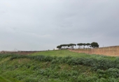 Non-developable land for sale in Bollullos Par del Condado ref: TR252419 photo