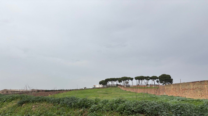 Huelva - Bollullos Par del Condado - 10400m2