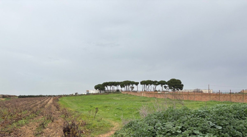 Huelva - Bollullos Par del Condado - 10400m2